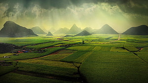Aerial View of Lush Green Rice Paddies and Karst Mountains Under Dramatic Stormy Skies HD wallpaper