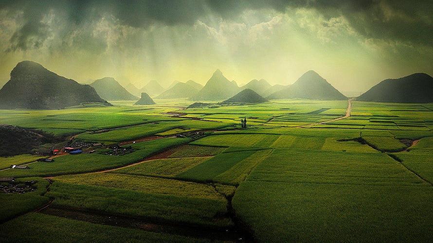Aerial View of Lush Green Rice Paddies and Karst Mountains Under Dramatic Stormy Skies HD wallpaper