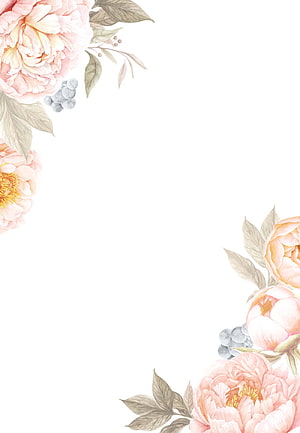 Delicate Peach Peony Watercolor Floral Corner Frame on White Background HD phone wallpaper