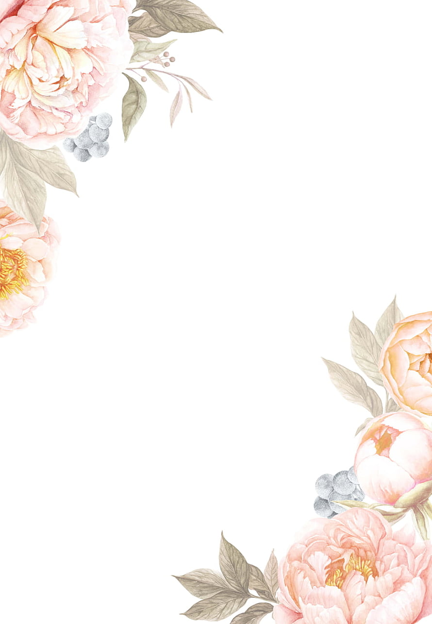 Delicate Peach Peony Watercolor Floral Corner Frame on White Background HD phone wallpaper