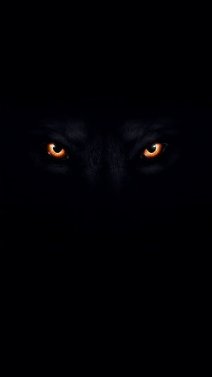 Mysterious Black Wolf Eyes Glowing in the Dark HD phone wallpaper