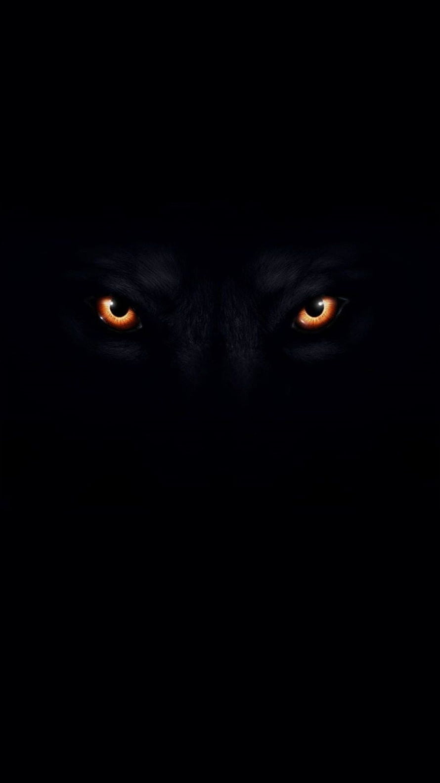 Mysterious Black Wolf Eyes Glowing in the Dark HD phone wallpaper