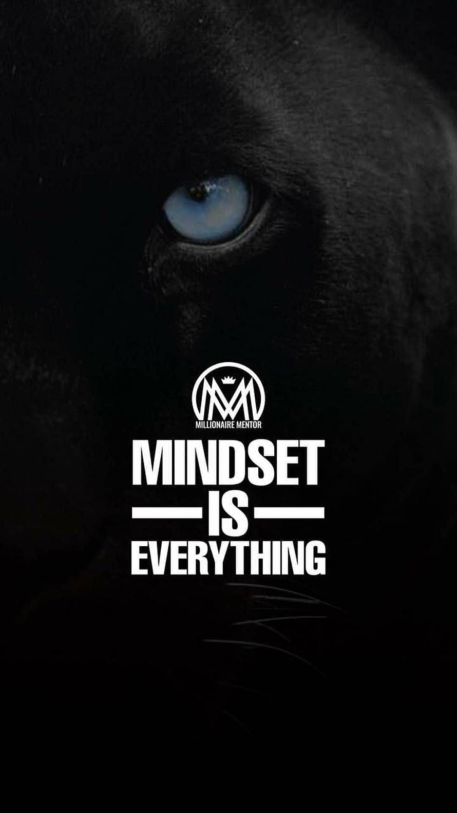 Black Panther Close-Up with Millionaire Mentor Mindset Quote HD phone wallpaper