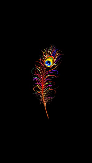 Vibrant Peacock Feather with Rainbow Eye Pattern on Black Background HD phone wallpaper
