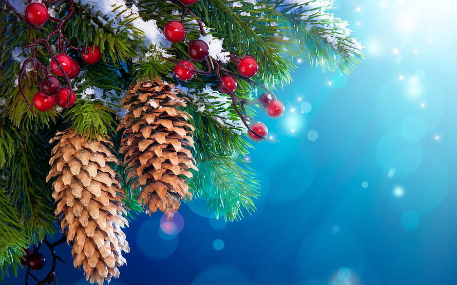 Snowy Pine Branches with Pinecones and Red Berries Against a Blue Bokeh Background HD wallpaper