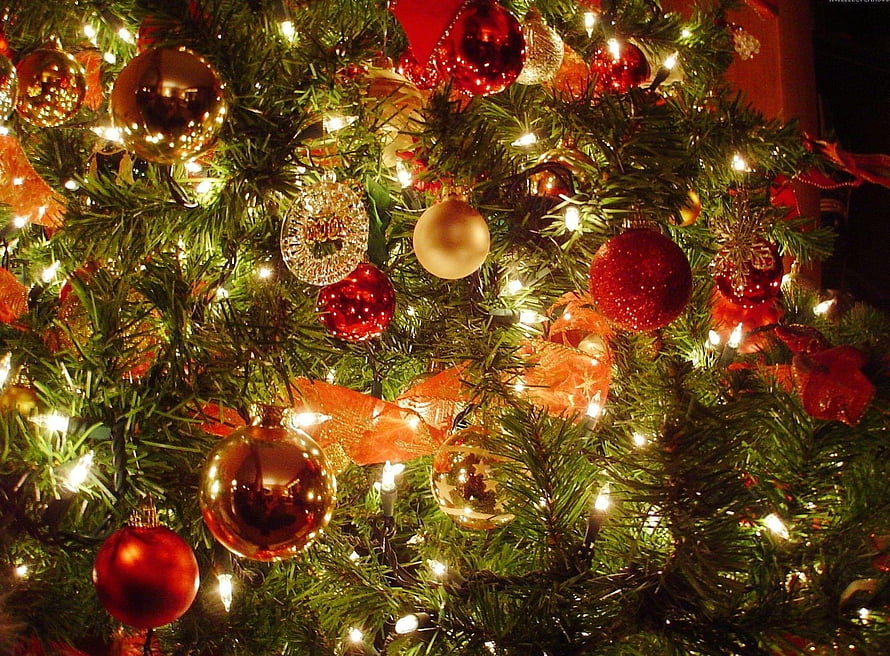 Festive Christmas Tree Close-Up With Red And Gold Ornaments And Warm String Lights HD wallpaper