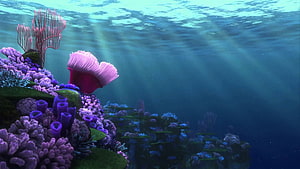 Finding Nemo Underwater Coral Reef Scene with Sunbeams and Purple Sea Life HD wallpaper