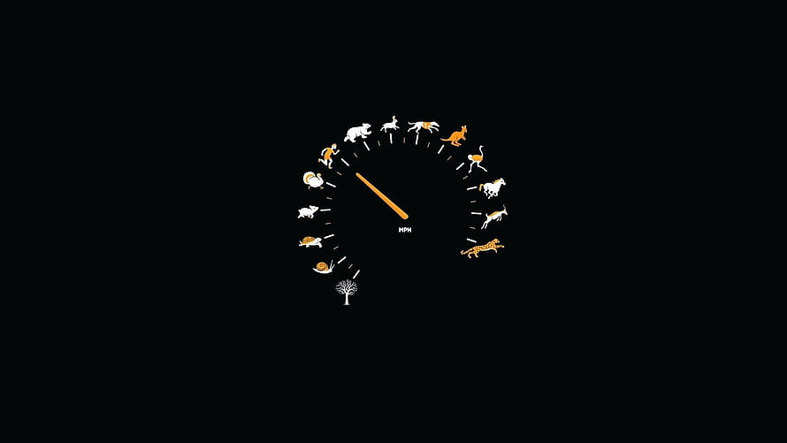 Animal Speedometer Illustration on Black Background HD wallpaper