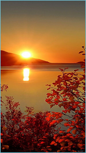 Golden Sunrise Over Calm Lake With Autumn Foliage And Distant Hills HD phone wallpaper