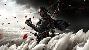 Ghost of Tsushima Samurai Warrior in Tall Grass with Red Leaves and Stormy Sky HD wallpaper