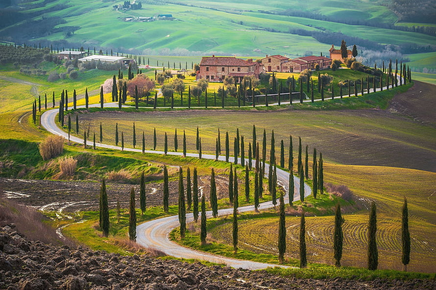 Rolling Hills and Cypress Trees in the Tuscany Countryside HD wallpaper