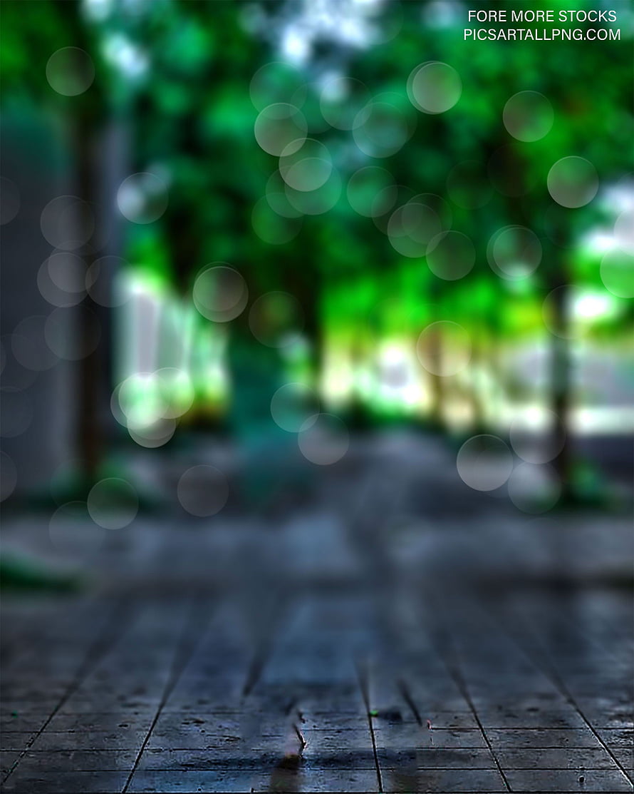 Moody Forest Path with Soft Bokeh and Wet Stone Ground HD phone wallpaper