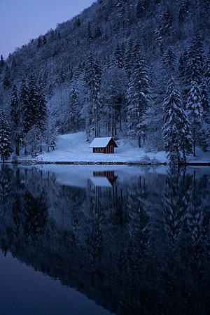Red Cabin on a Frozen Lake Shore Surrounded by Snowy Pine Forest at Dusk HD phone wallpaper