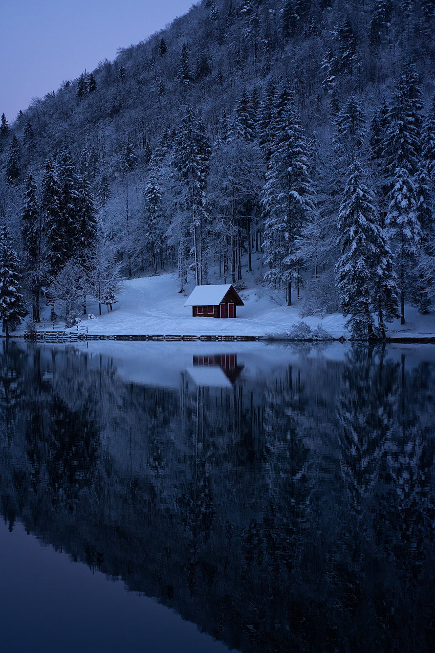 Red Cabin on a Frozen Lake Shore Surrounded by Snowy Pine Forest at Dusk HD phone wallpaper