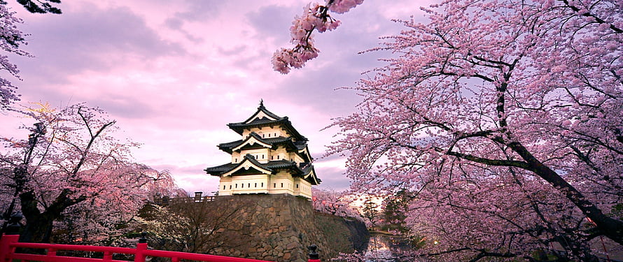 Hirosaki Castle in Japan framed by blooming cherry blossoms under a soft pink spring sky HD wallpaper