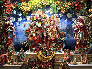 ISKCON Krishna and Radha Temple Altar with Vibrant Floral Garlands and Ornate Statues HD wallpaper