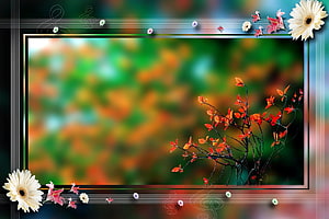 Elegant Floral Wedding Frame with Autumn Branches and Decorative Border HD wallpaper