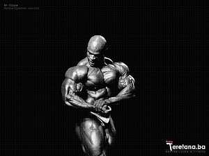 Ronnie Coleman Bodybuilding Pose at Mr Olympia Competition HD wallpaper