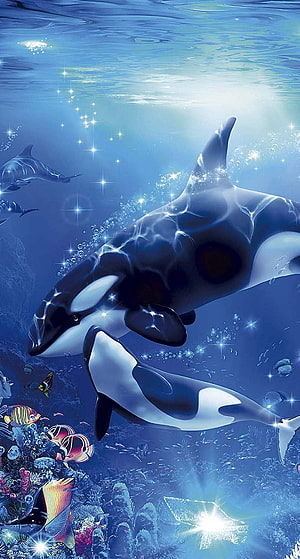 Majestic Orca Whales Swimming Through a Sparkling Underwater Ocean Scene HD phone wallpaper