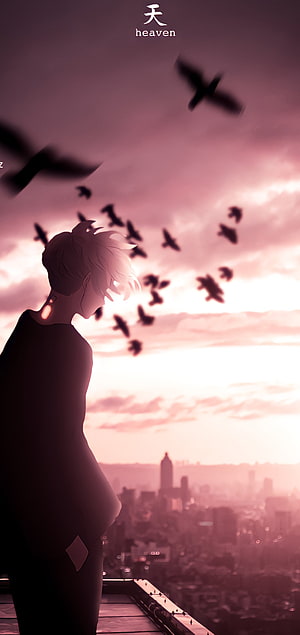 Mikey from Tokyo Revengers Silhouette on Rooftop at Dusk with Flock of Birds HD phone wallpaper
