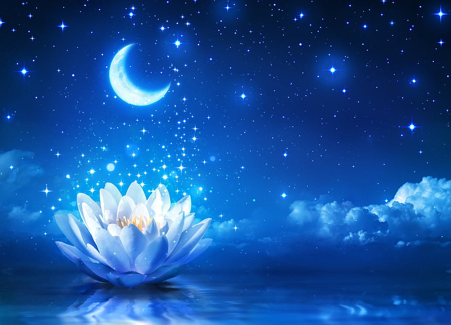 Glowing Blue Lotus Flower Floating on Water Beneath a Crescent Moon and Starry Night Sky HD wallpaper
