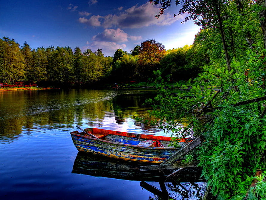 Weathered Wooden Rowboat Moored on a Serene Forest Lake with Vivid Reflections HD wallpaper