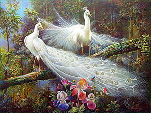 White Peacocks Displaying Feathers in a Lush Forest with Colorful Flowers HD wallpaper