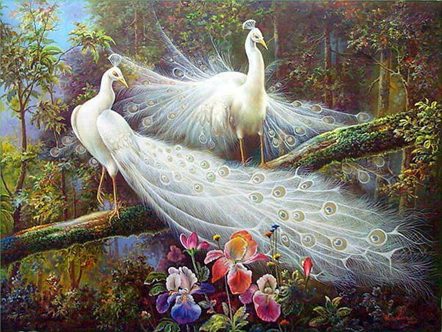 White Peacocks Displaying Feathers in a Lush Forest with Colorful Flowers HD wallpaper
