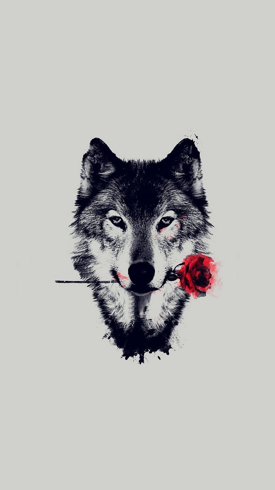 Ink Wash Wolf Portrait Holding a Red Rose in Mouth HD phone wallpaper