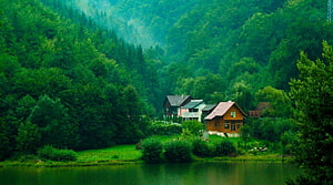 Secluded Lakeside Cottages Nestled in Lush Mountain Forest HD wallpaper