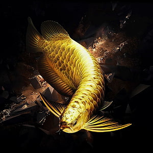 Golden Arowana Fish Swimming Through Dark Shattered Rock Landscape HD phone wallpaper