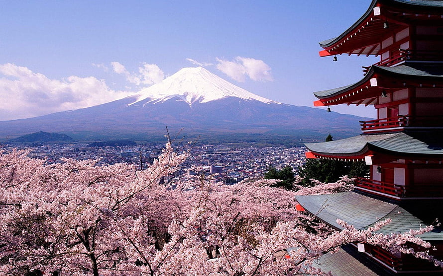 Mount Fuji and Chureito Pagoda with Cherry Blossoms in Japan HD wallpaper