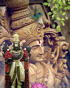 Lord Balaji Temple Idol with Peacock Crown and Floral Garland HD phone wallpaper