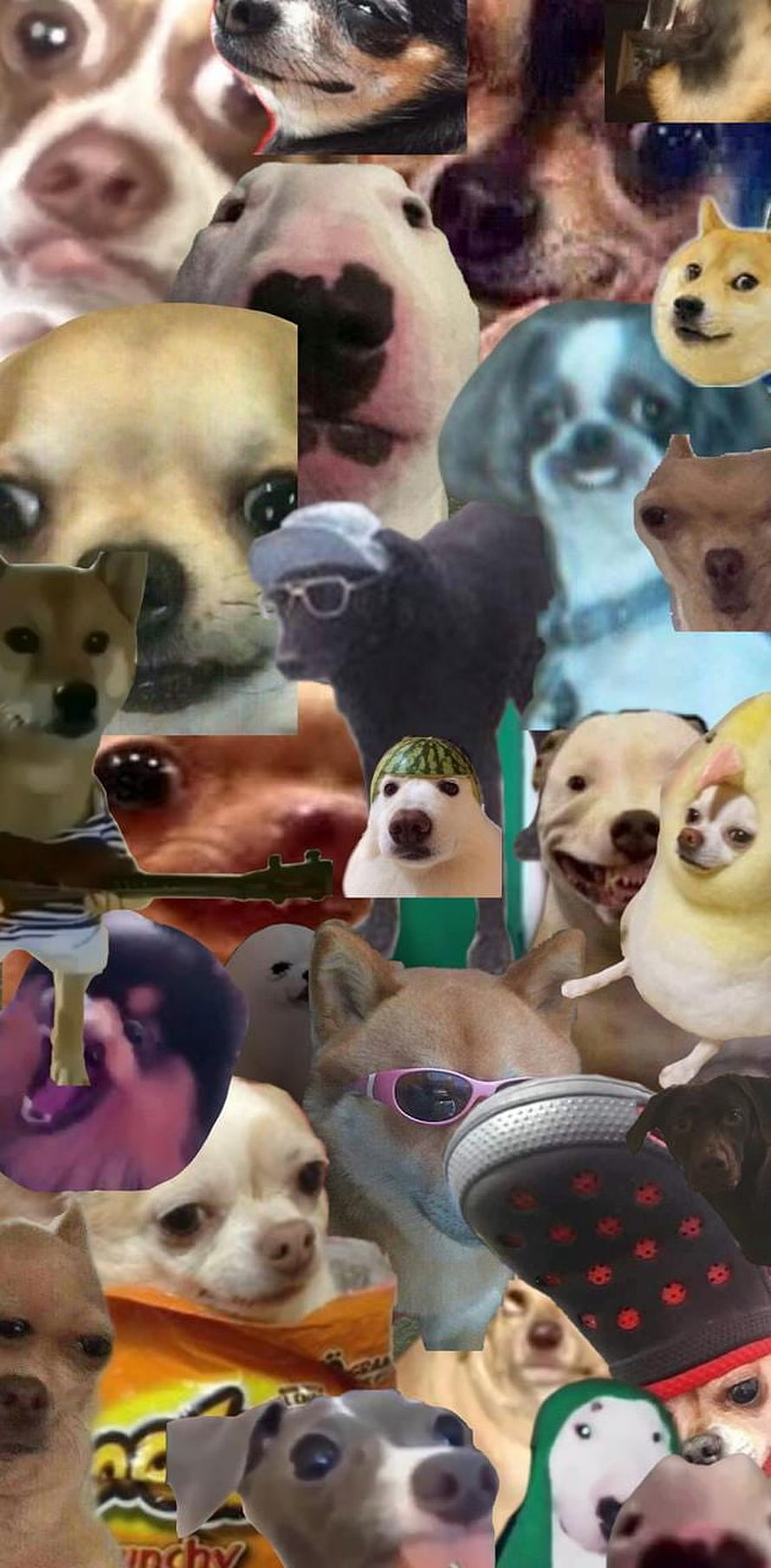 Chaotic collage of funny dog memes and internet culture faces HD phone wallpaper
