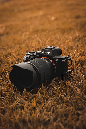 Sony Alpha 7 II Mirrorless Camera Resting in Golden Autumn Grass HD phone wallpaper