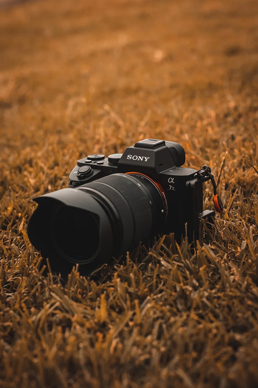 Sony Alpha 7 II Mirrorless Camera Resting in Golden Autumn Grass HD phone wallpaper