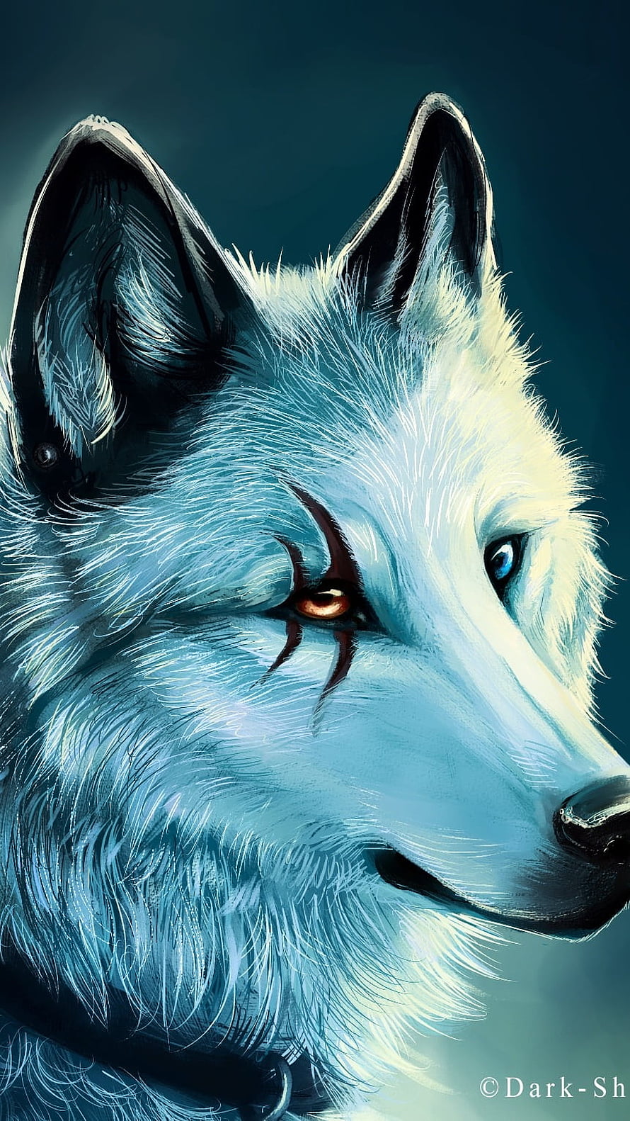 Detailed Digital Painting of a White Wolf with Heterochromia and Dark Markings HD phone wallpaper