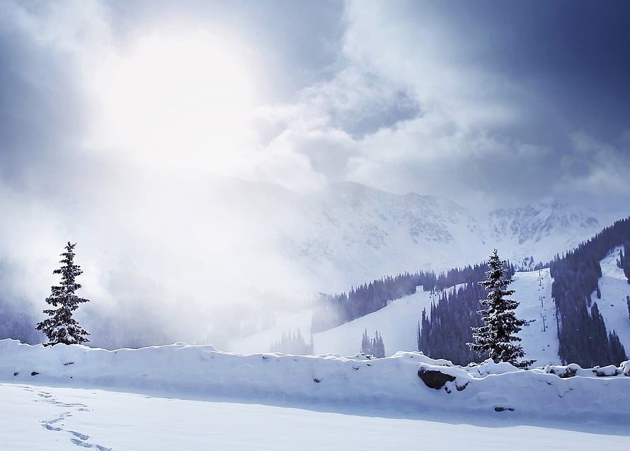 Snowy Mountain Landscape with Pine Trees and Bright Sunlight HD wallpaper