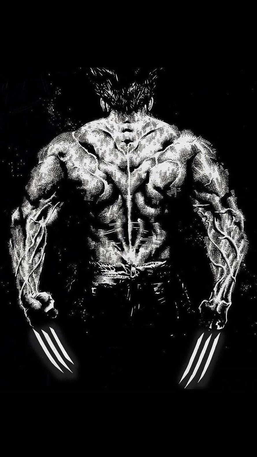 Wolverine Back View with Claws Extended in High Contrast Black and White Comic Art HD phone wallpaper