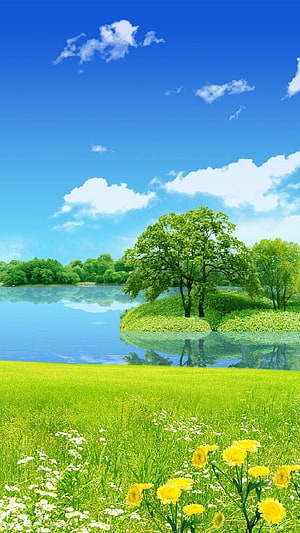 Serene Summer Lake Landscape With Lush Green Meadow And Wildflowers Under Blue Sky HD phone wallpaper