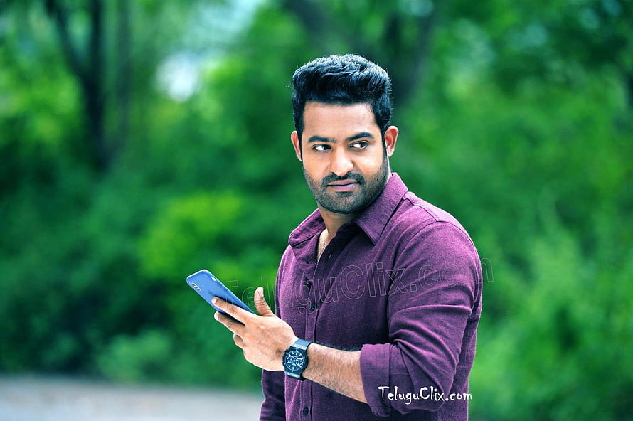 Jr NTR in Maroon Shirt Holding Smartphone Against Green Foliage HD wallpaper