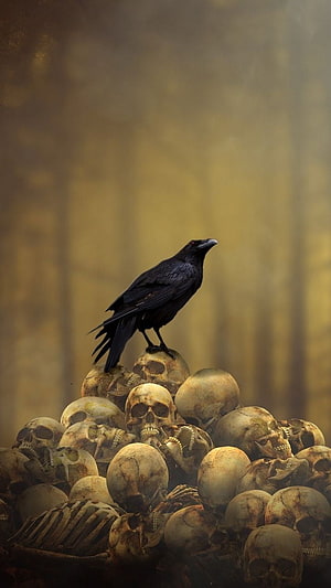 Black Raven Perched on a Pile of Human Skulls in a Dark Gothic Fantasy Scene HD phone wallpaper