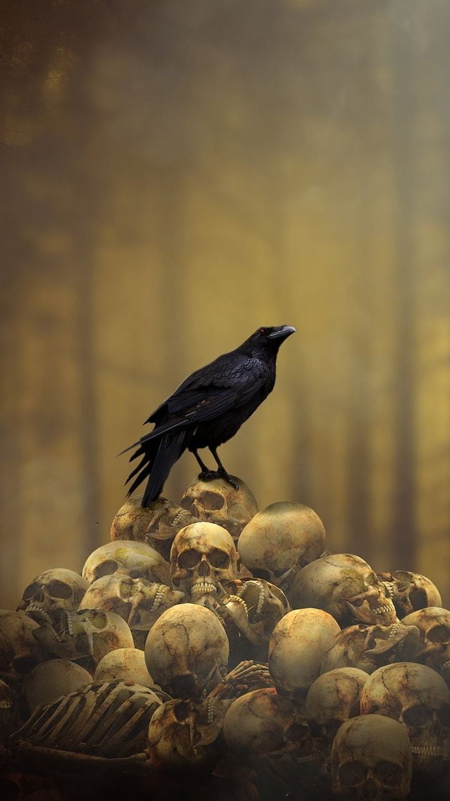 Black Raven Perched on a Pile of Human Skulls in a Dark Gothic Fantasy Scene HD phone wallpaper