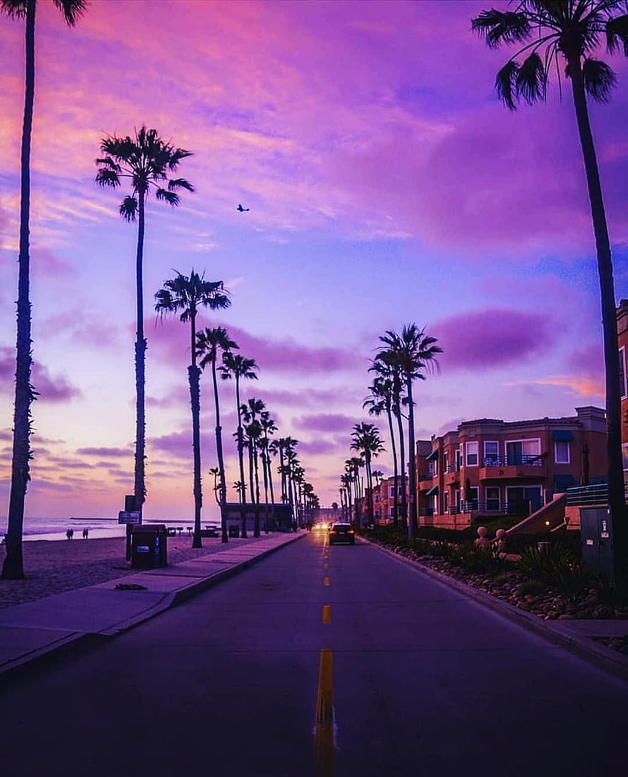 Palm Tree Lined Coastal Road at Dusk with Vibrant Purple Sky HD phone wallpaper
