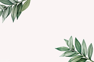 Minimalist Botanical Frame with Watercolor Green Leaves on White Background HD wallpaper