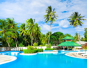 Tropical resort swimming pool with palm trees and green gazebo under a bright blue sky HD wallpaper