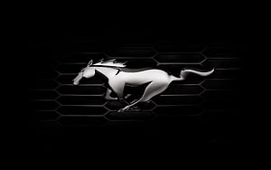 Sleek Silver Ford Mustang Pony Emblem on Dark Hexagonal Grille Background HD wallpaper