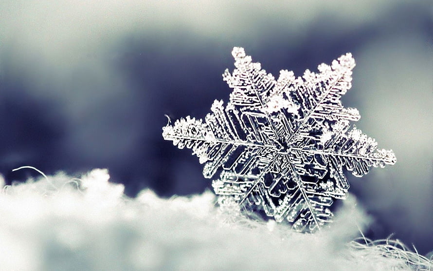 Intricate Hexagonal Snowflake Crystal Resting on Soft White Snow in Winter HD wallpaper