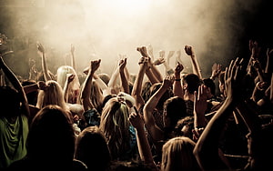 Energetic Concert Crowd With Raised Hands Under Warm Stage Lighting And Hazy Atmosphere HD wallpaper