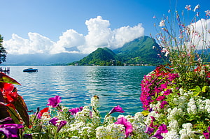 Vibrant Alpine Lake Landscape With Colorful Flowers And Green Mountains HD wallpaper